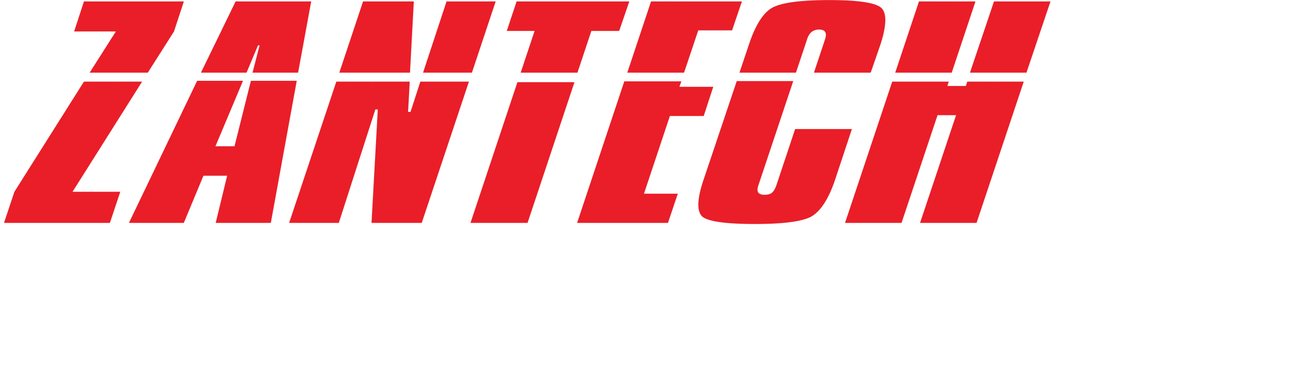 Zantech Bullets