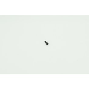 P226 X-R Torx screw for magwell