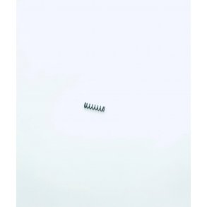 Trigger bar spring, P210