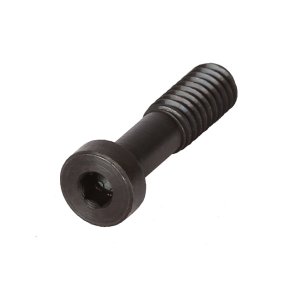 10/22 take down action screw