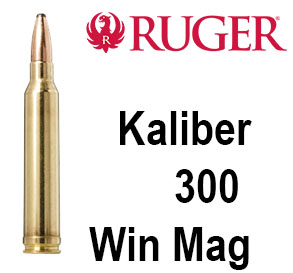 .300 WinMag